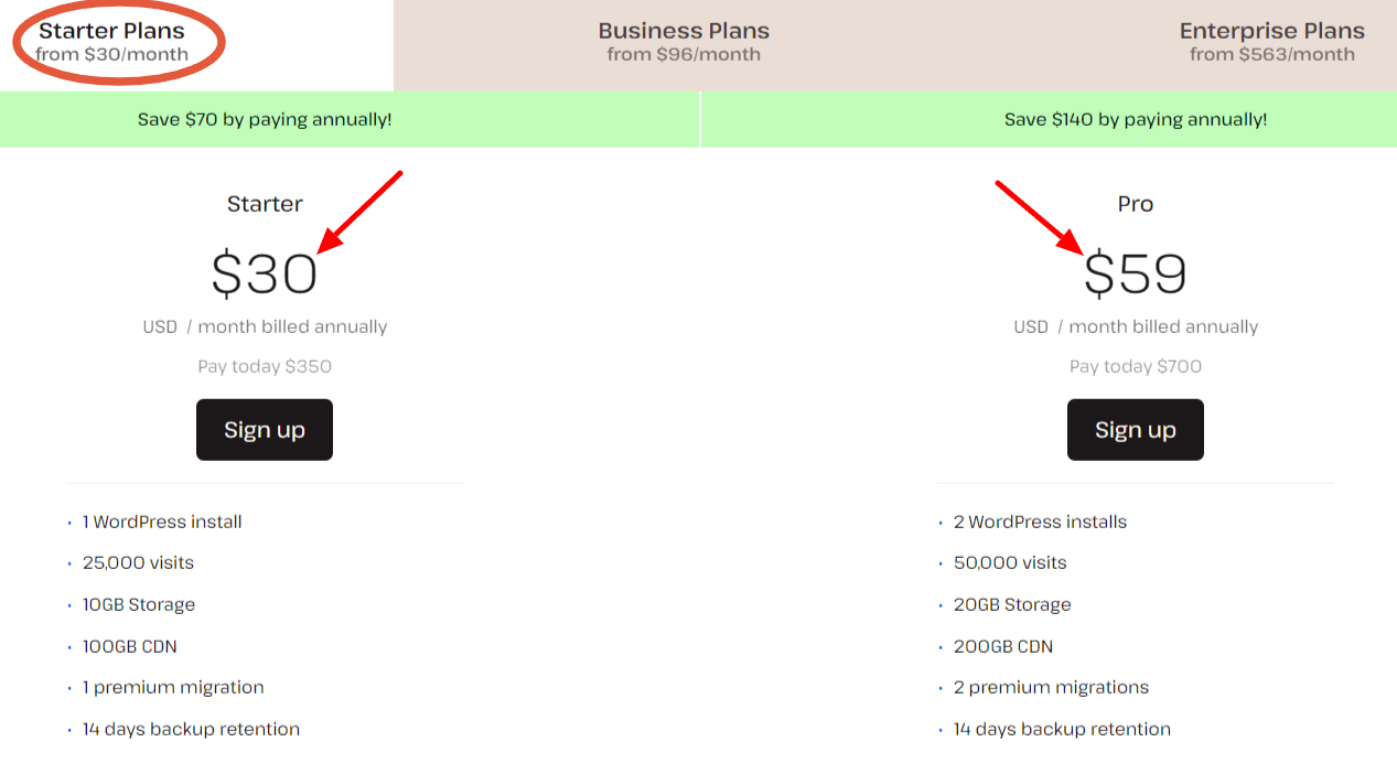 Kinsta website hosting starter plan pricing