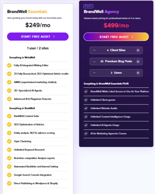 BrandWell AI content detector tool.