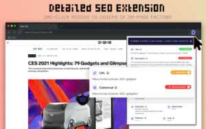 An image of detailed SEO extension for a blog on :best chrome extensions for bloggers".